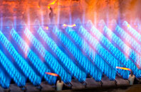 Rudbaxton gas fired boilers